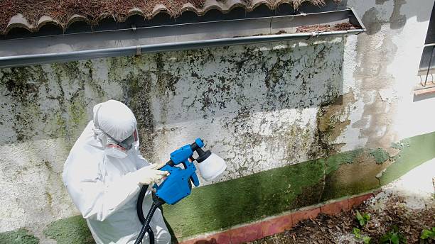 Trusted Mold Testing service in Summerhill, PA - Cheap Mold Removal